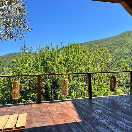 Les Magnels Bed & Breakfast Valleraugue Bagian luar foto