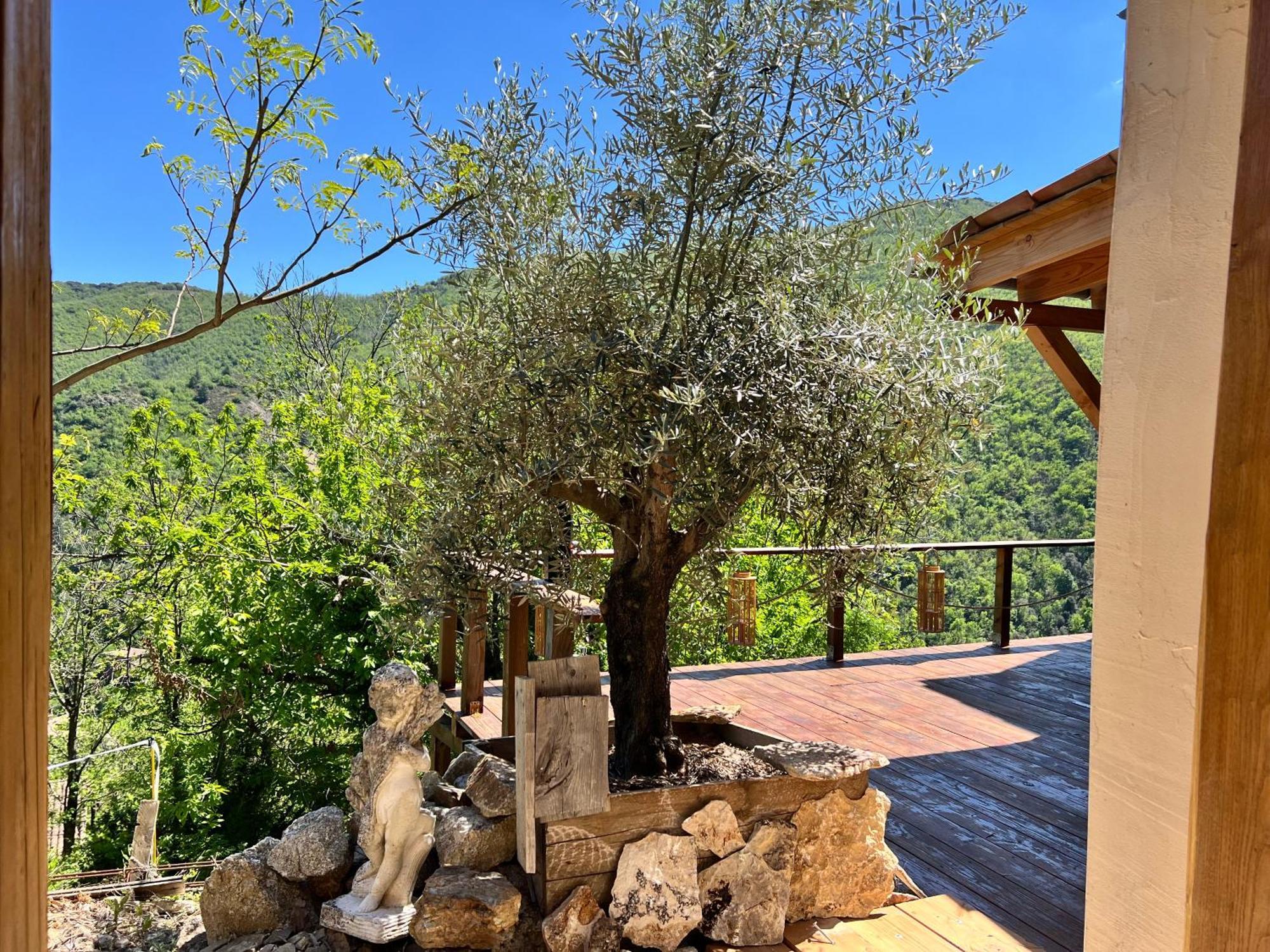 Les Magnels Bed & Breakfast Valleraugue Bagian luar foto