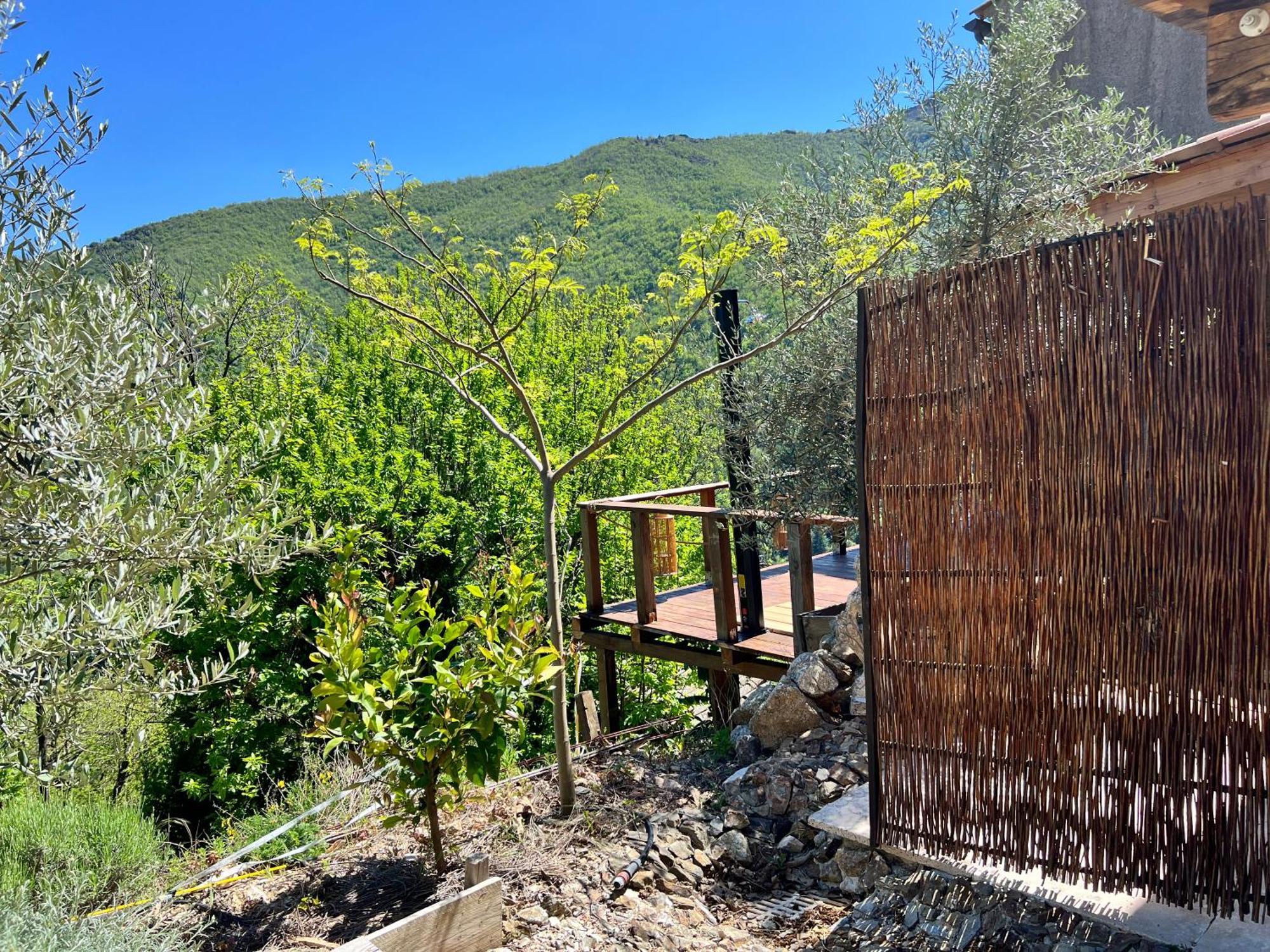 Les Magnels Bed & Breakfast Valleraugue Ruang foto