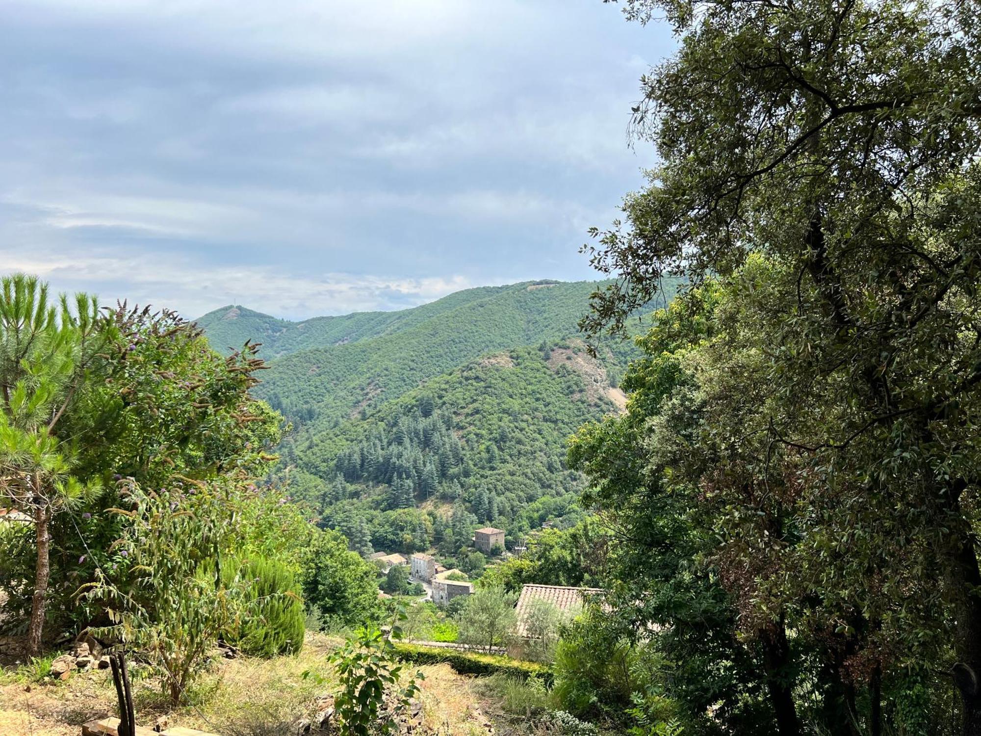 Les Magnels Bed & Breakfast Valleraugue Bagian luar foto