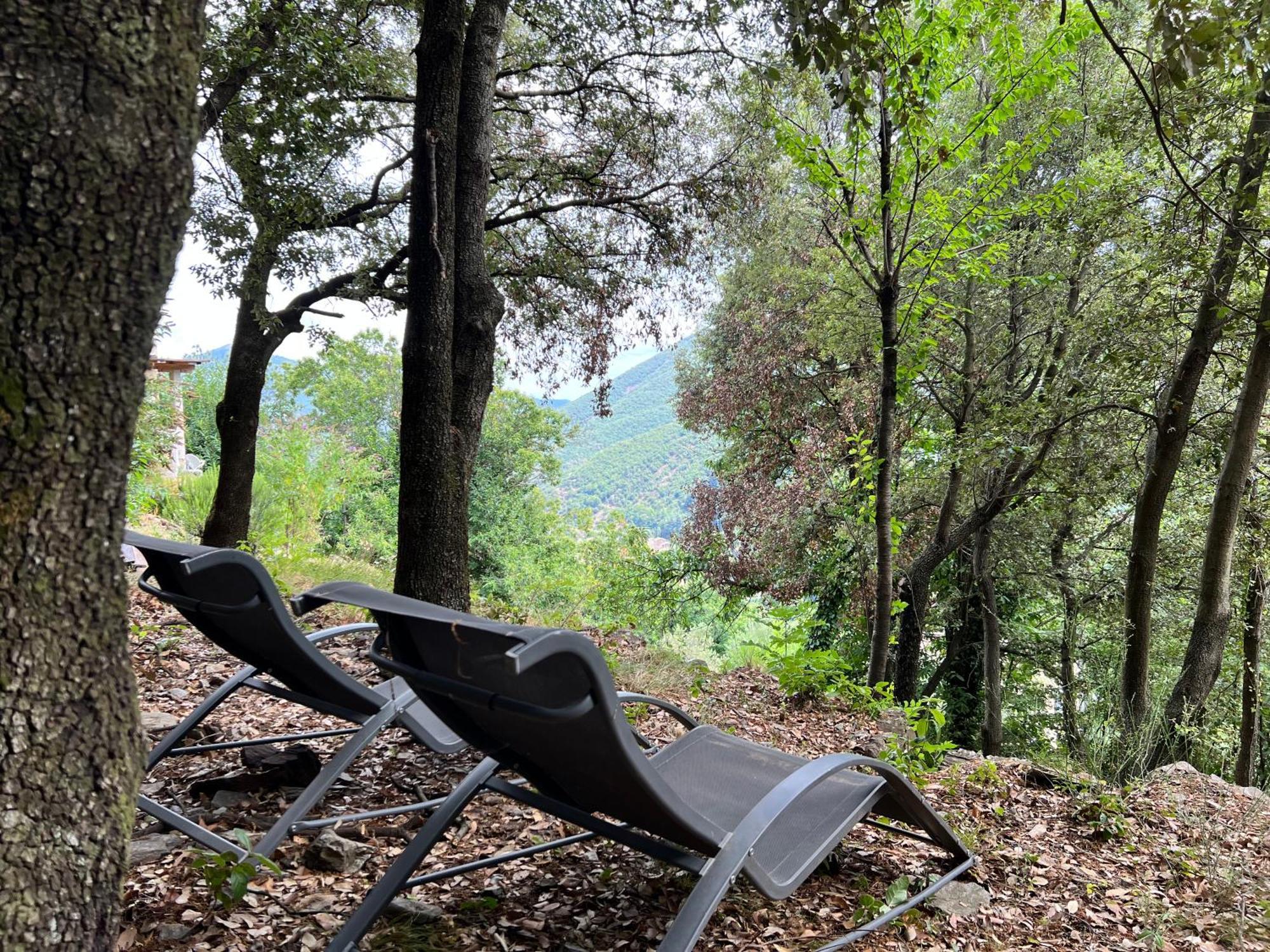 Les Magnels Bed & Breakfast Valleraugue Bagian luar foto
