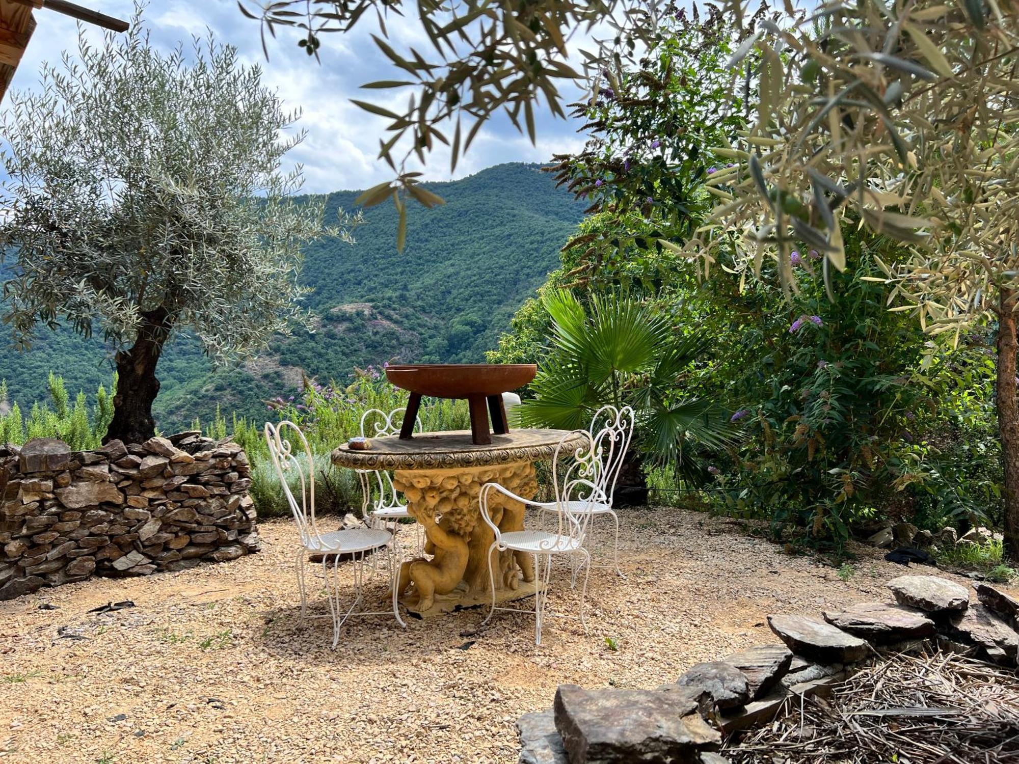 Les Magnels Bed & Breakfast Valleraugue Bagian luar foto