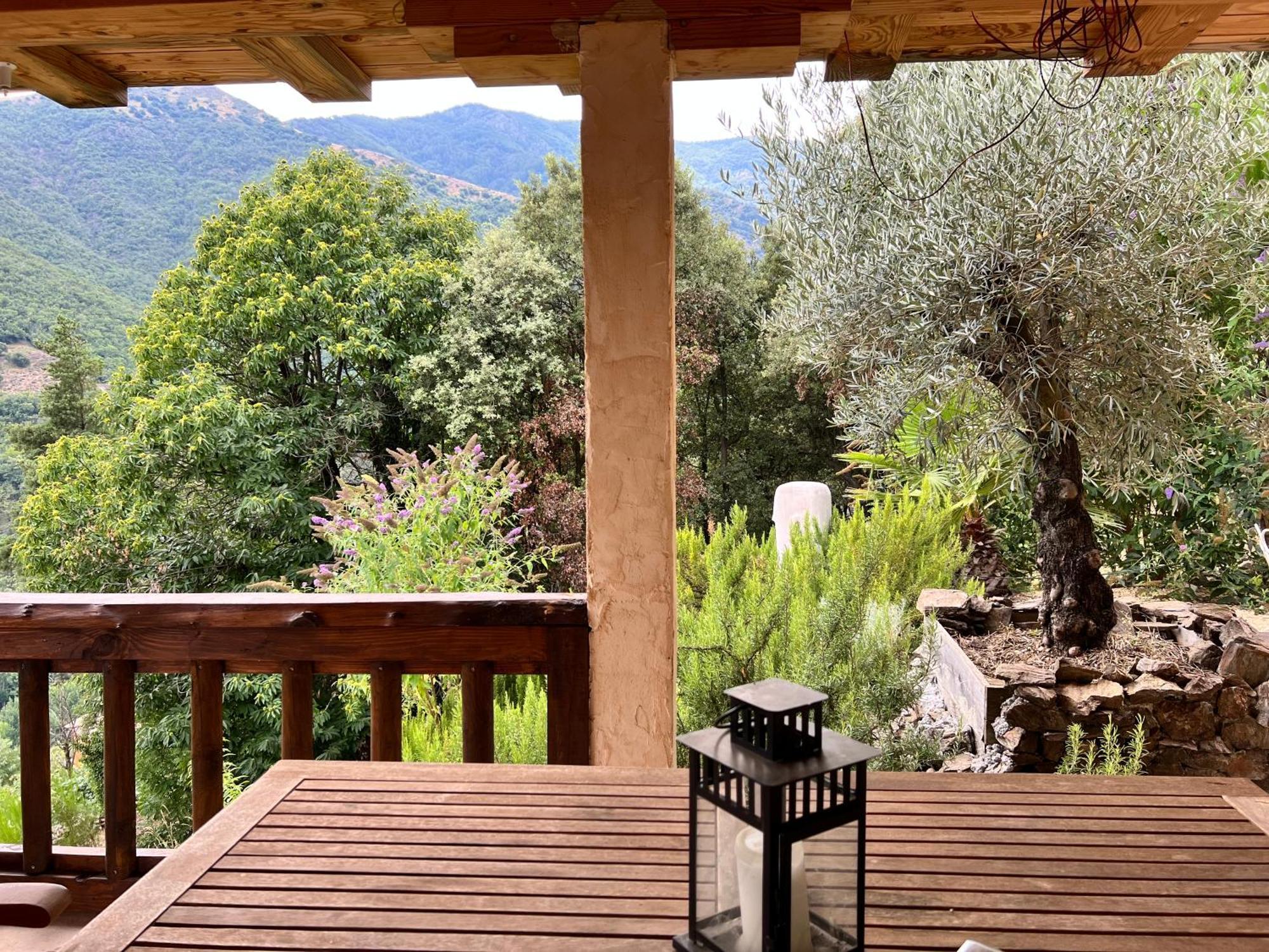 Les Magnels Bed & Breakfast Valleraugue Bagian luar foto